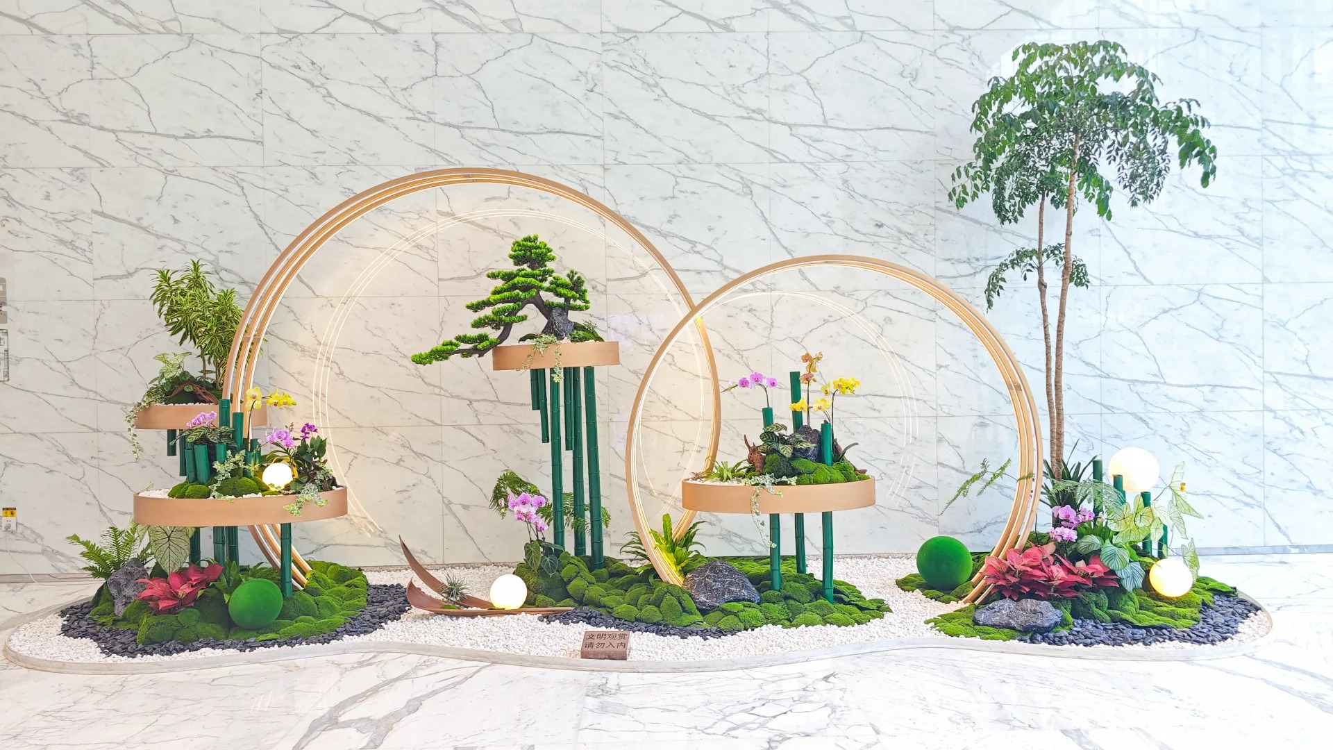 了解北仑绿植租赁价格，开启绿色办公新体验！